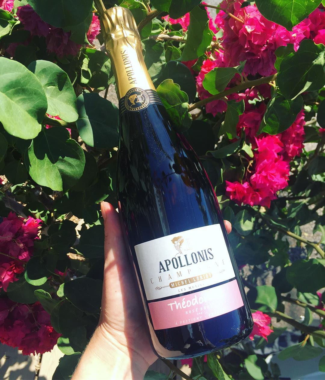 Nothing beats a glass of rosé Champagne in the morning! Meet Champagne Apollonis Theodorine Rosé. Find it here at Vino&Co! @vinoycoibiza #vinoyco #vinoycowines #ibizawineshop #wineshop #ibiza2017 #winelovers #champagne #rosé #rosélovers #roséallday @apollonischampagne
