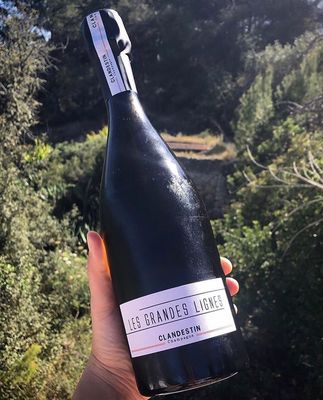 Meet Clandestin: meaning hidden or secret and it refers to the source of their champagne. Les Semblables (100% Pinot Noir) and Les Grandes Lignes (100% Chardonnay) available at Vino&Co. And oh, did we mention it’s #natural? @vinoycoibiza #vinoyco #vinoycowines #champagne #clandestin #ibiza